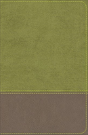 Kjv Study Bible For Boys Olive/Brown Leathertouch - Preview