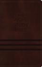 Kjv, Word Study Bible, Imitation Leather, Brown, Red Letter Edition - Preview