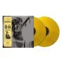 Knebworth 22 - Vinil - Preview
