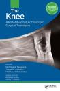 Knee - Preview