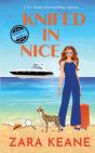Knifed In Nice - Preview