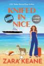 Knifed In Nice - Preview