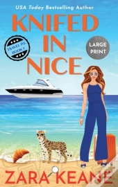 Knifed In Nice
