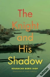 Knight And His Shadow