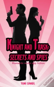 Capa do artigo Knight And Trask: Secrets And Spies