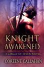 Knight Awakened - Preview