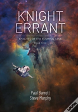 Capa do artigo Knight Errant