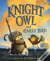 Capa do artigo Knight Owl And Early Bird