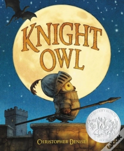 Capa do artigo Knight Owl