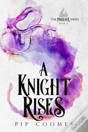 Capa do artigo Knight Rises