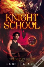 Capa do artigo Knight School