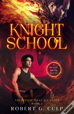 Capa do artigo Knight School