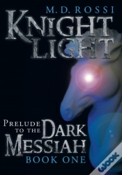Capa do artigo Knightlight