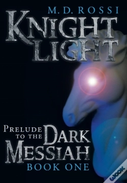 Capa do artigo Knightlight