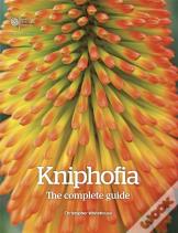 Kniphofia
