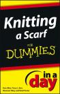 Knitting A Scarf In A Day For Dummies - Preview