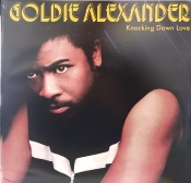 Capa do artigo Knocking Down Love - Vinil
