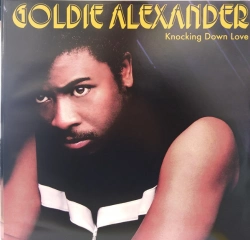 Capa do artigo Knocking Down Love - Vinil
