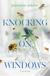 Capa do artigo Knocking On Windows