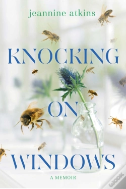 Capa do artigo Knocking On Windows