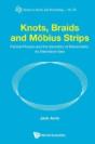 Knots, Braids And Mobius Strips - Particle Physics And The Geometry Of Elementarity: An Alternative View - Preview