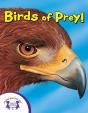 Know-It-Alls! Birds Of Prey - Preview
