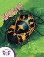 Know-It-Alls! Bugs - Preview