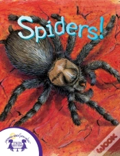 Capa do artigo Know-It-Alls! Spiders