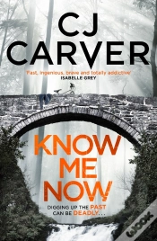 Capa do artigo Know Me Now