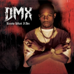 Capa do artigo Know What I Am - Vinil