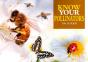 Know Your Pollinators - Preview