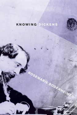 Capa do artigo Knowing Dickens