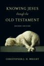 Knowing Jesus Through The Old Testament - Preview