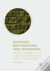 Capa do artigo Knowing, Not-Knowing, And Jouissance