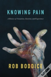 Capa do artigo Knowing Pain