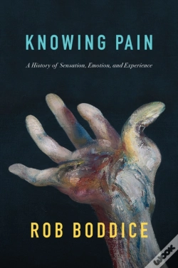 Capa do artigo Knowing Pain