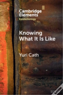 Capa do artigo Knowing What It Is Like