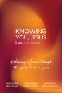 Knowing You, Jesus: 365 Devotional - Preview