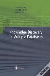 Knowledge Discovery In Multiple Databases
