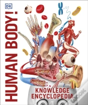 Capa do artigo Knowledge Encyclopedia Human Body!