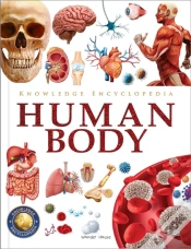 Capa do artigo Knowledge Encyclopedia Human Body