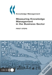 Capa do artigo Knowledge Management Measuring Knowledge Management In The Business Sector First Steps