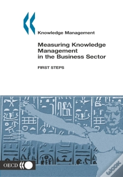Capa do artigo Knowledge Management Measuring Knowledge Management In The Business Sector First Steps