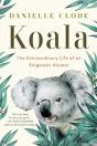 Koala - Preview