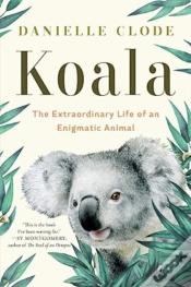 Capa do artigo Koala