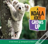 Koala Joey Grows Up