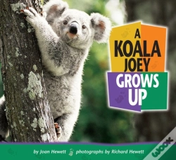Capa do artigo Koala Joey Grows Up