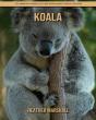 Koala - Preview
