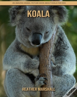 Capa do artigo Koala