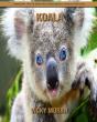 Koala - Preview